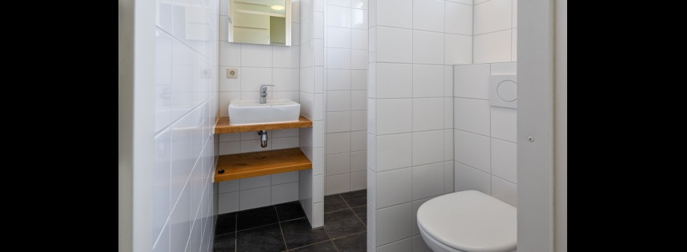 Dennenoord type 2 4 persoons, badkamer
