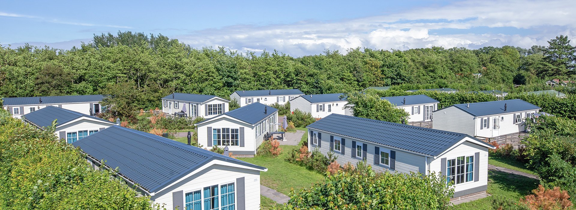 dennenoord-texel-chaletpark.jpg