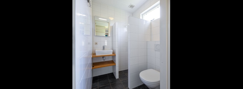 Dennenoord type 2 6 persoons, badkamer