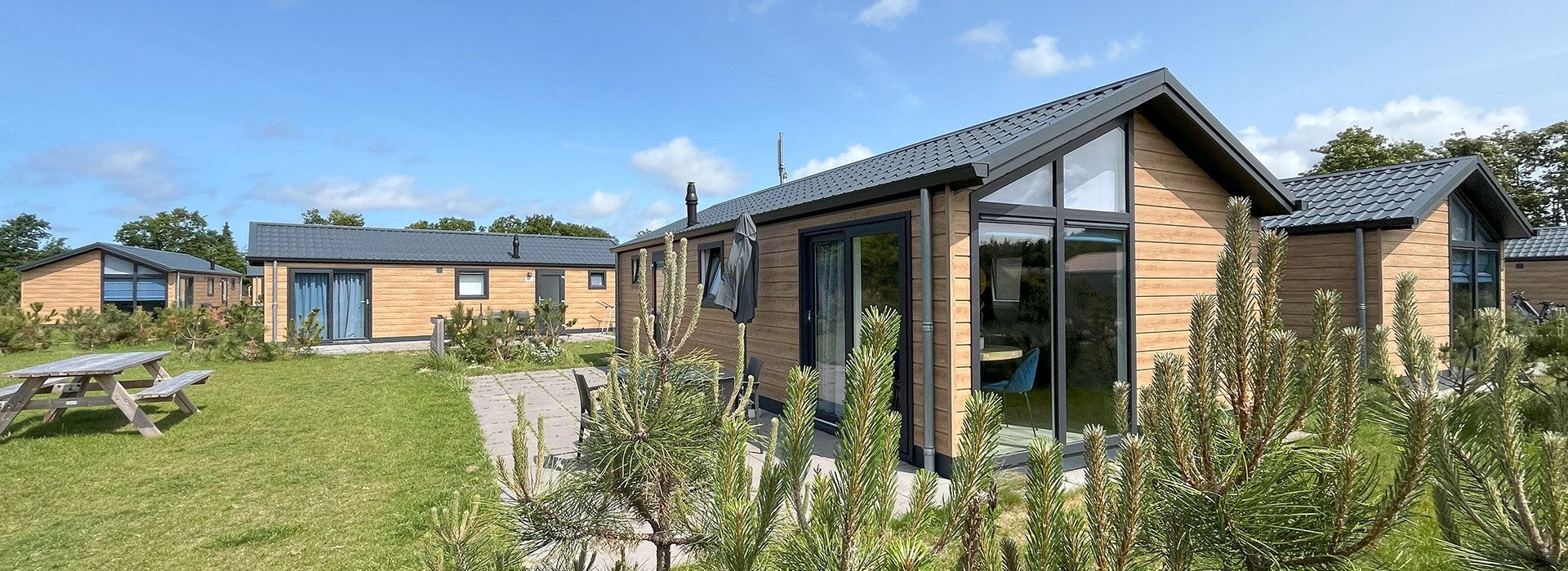chalets-texel-dennenoord.jpg