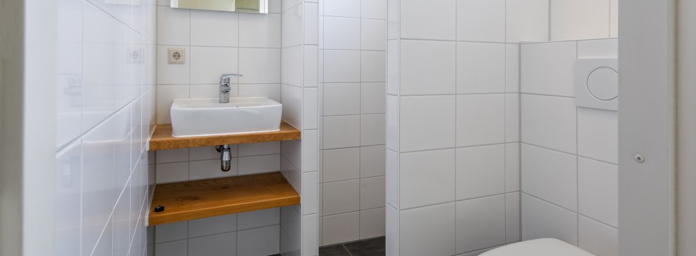 Dennenoord type 2 4 persoons, badkamer