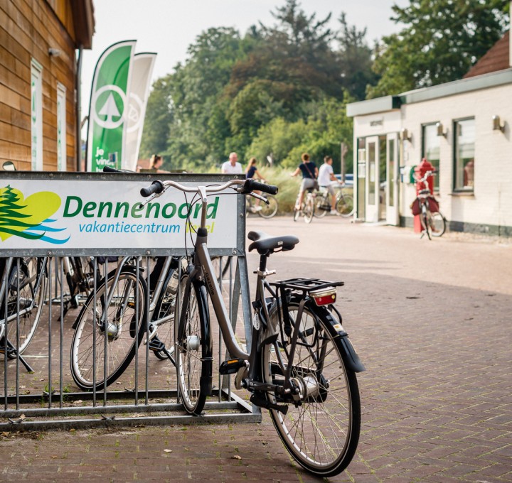 Dennenoord_aug2019_149.jpg