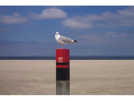 Get Strandhuisjes texel Desktop Wallpaper Strandhuisjes Texel