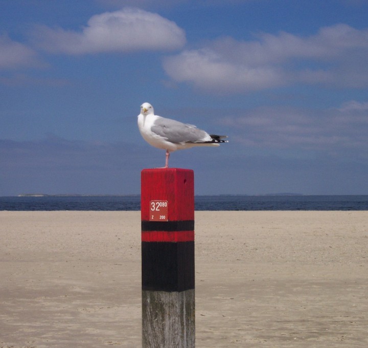 strandpaal op Texel.jpg