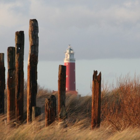 De omgeving